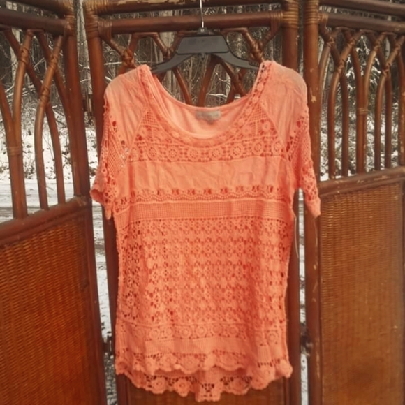 Live & Let Live Tops - 🆕️ Live & Let Live short sleeve Shirt Lace Blouse